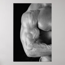 Poster muscular del brazo