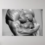 Poster muscular del pecho