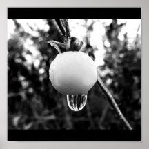 Poster-Naturaleza-Arte de Rain-10