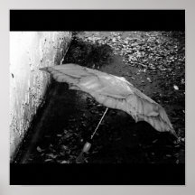 Poster-Naturaleza-Arte de Rain-15