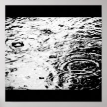 Poster-Naturaleza-Arte de Rain-17