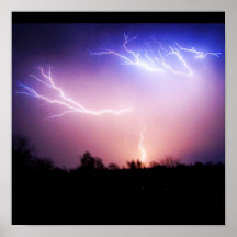Poster-Naturaleza-Arte de Rain-35