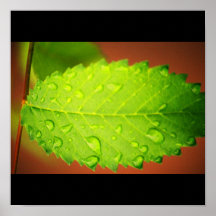 Poster-Naturaleza-Arte de Rain-47