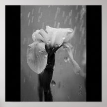 Poster-Naturaleza-Arte de Rain-58