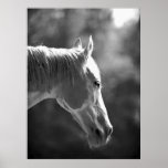 Poster negro y blanco de la impresión del caballo 