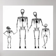 POSTER - NEGRO Y BLANCO ESQUELÉTICOS DE LA FAMILIA