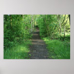 Poster pacífico del paseo del país