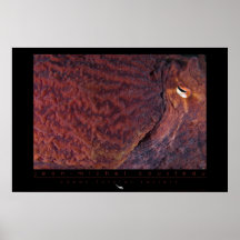 Poster pacífico gigante del pulpo