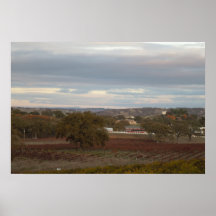 Poster: País vinícola de Paso Robles en noviembre