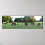 Poster panorámico de la granja del caballo