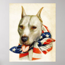 Poster patriótico americano de la guerra del perro