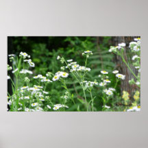 Poster por la naturaleza de T.Ndip