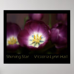 Poster púrpura de la fotografía del tulipán de la 