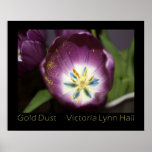 "Poster púrpura de la fotografía del tulipán del p