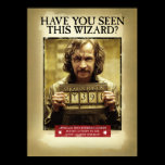 Poster querido negro de Sirius posters
