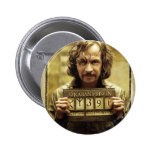 Poster querido negro de Sirius Pins