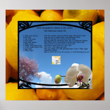 Poster real de la empanada del limón