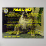 Poster RESCATADO marca de dos dogos