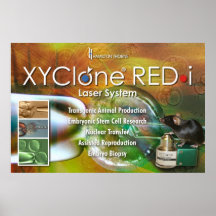 Poster Rojo-yo de XYClone