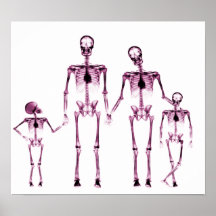 POSTER - ROSA BLANCO DE LA FAMILIA ESQUELÉTICA DE 