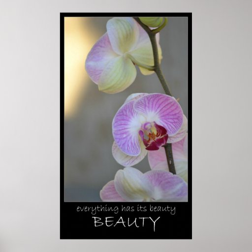 Poster rosado de la belleza de la expresión de la 