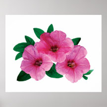 Poster rosado de tres petunias