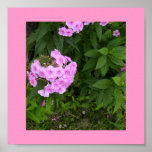 Poster rosado del diseño de Floral.Leaves