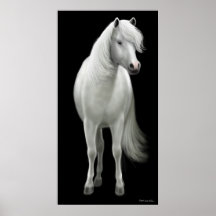 Poster salvaje del caballo blanco