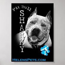poster sharky del pitbull