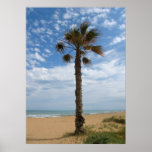 Poster solo de la palmera