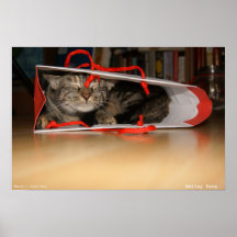 Poster sonriente de la cara