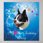 Poster sonriente grande de Boston bull terrier