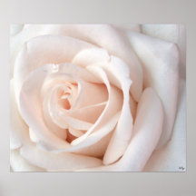 Poster subió boda, S Cyr