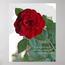 Poster subió terciopelo rojo: COLOR DE ROSA y PROS