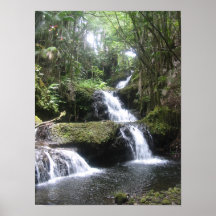 Poster tropical 12x16 de la cascada