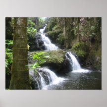 Poster tropical de la cascada (paisaje) 16x12