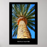 Poster tropical de la palmera, impresión