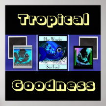Poster tropical del viaje