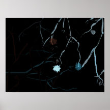 Poster (u1)
