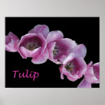 Poster, "una onda de tulipanes púrpuras "