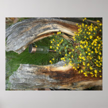Poster único de la flor del tocón de árbol