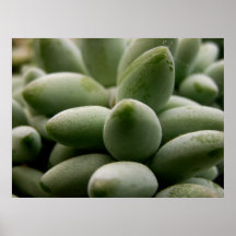 Poster verde de las gemas