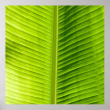Poster verde del arte de la textura de la hoja