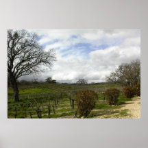 Poster: Viñedos de Zenaida, Paso Robles, CA