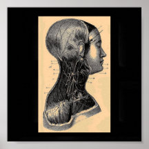 Poster-Vintage-Anatomía