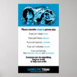 Poster voluntario de las ideas - conejillo de Indi