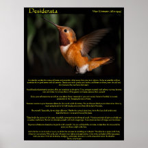 Posters 2 del colibrí de los desiderátums