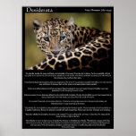 Posters 8 de los desiderátums