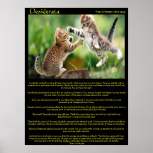 Posters de la pelea de gatos de los desiderátums