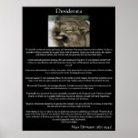Posters de los lobos grises de los desiderátums
